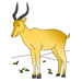 Lonely Antelope Coloring Pages